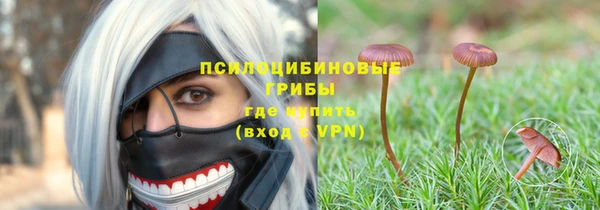 a pvp Аркадак
