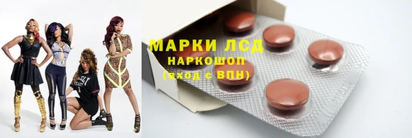 прущий лед Алзамай