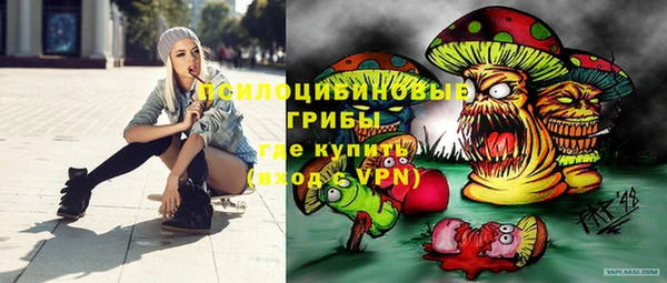 прущий лед Алзамай