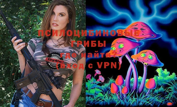 прущий лед Алзамай