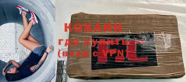 прущий лед Алзамай